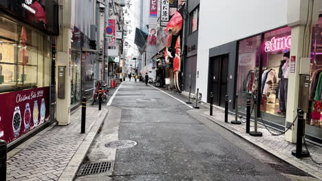 Schmale-Einkaufsstraße-Und-Hummerrestaurant-Im-Touristenziel-Dotonbori