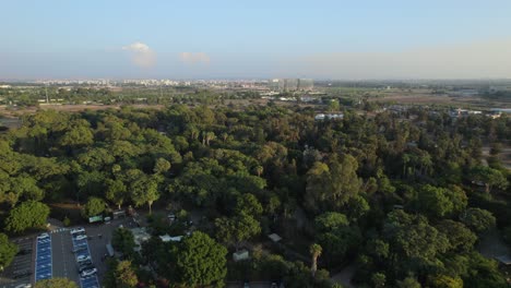 Parallax-over-the-all-Ramat-Gan-safari-area-from-a-drone---sunny-day-#014