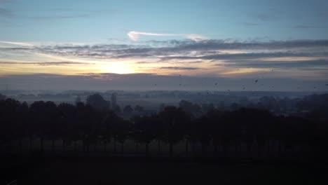 Amanecer-En-La-Ciudad-De-Helmond-Con-Los-Pájaros-Volando