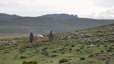 Two-bundled-African-men-walk-on-rough-dirt-road-with-pack-mules