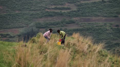 Young-African-children-bring-lunch-to-farmers-below-breezy-grass-knoll