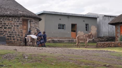 Bolsa-Grande-De-Grano-Cargada-En-La-Espalda-De-Un-Pequeño-Burro-Animal-De-Carga