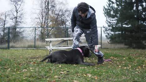 Junge-Trainiert-Seinen-Grauen-Stafford-Hund-Im-Tierheim