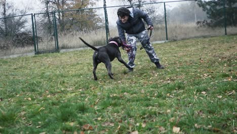 Person,-Die-Mit-Seinem-Hund-Im-Garten-Spielt