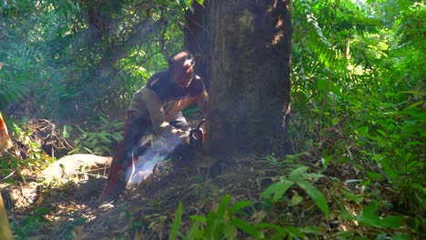 Los-árboles-Están-Siendo-Cortados-En-El-Bosque