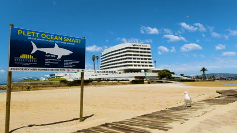 Hai-Warnschild-Am-Zentralen-Strand-Mit-Beacon-Isle-Hotel-Im-Hintergrund,-Plett