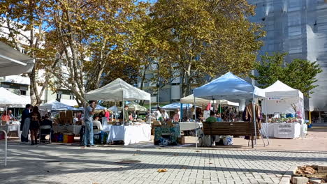 Pequeña-Feria-De-Artesanía-Y-Artes-Decorativas-En-La-Plaza-Del-Pueblo