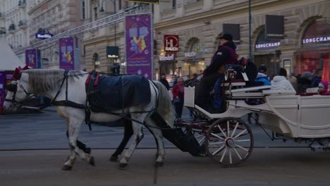 Turista-Disfruta-De-Un-Paseo-En-Un-Carruaje-De-Caballos-En-El-Centro-De-La-Ciudad-De-Viena-El-Día-De-Año-Nuevo-De-2023