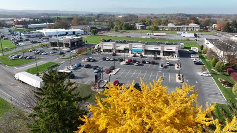 Retailer-strip-mall-shopping-in-USA