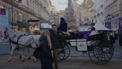 Tourist-enjoy-a-ride-on-a-horse-carriage-in-the-city-center-of-Vienna-on-New-Year's-day-2023