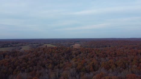 Aerial-View-Of-Dense-Forest-Landscape-In-Autumn-During-Sunset---drone-ascending