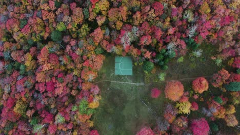 Top-View-Of-A-Basketball-Court-Surrounded-By-Fall-Foliage-In-Utah