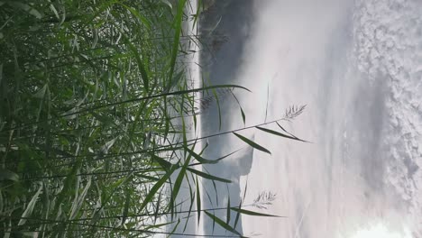 Vertikales-Video-Von-Grünen-Blättern-Vor-Einem-Ruhigen-Und-Meditativen-See-Mit-Nebel-Am-Morgen
