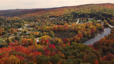 Panoramic-View-Of-Dense-Autumnal-Trees-In-Algonquin-Provincial-Park,-Muskoka-Region,-Ontario-Canada