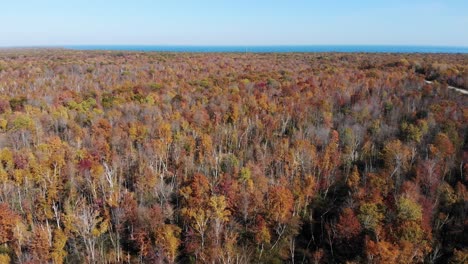 A-high-angle-aerial-view-of-Michigan-autumn-foliage
