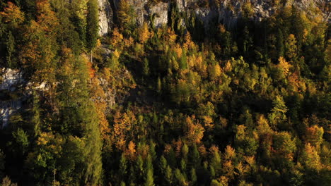 Drone-shot-ascending-of-the-rocky-mountain-side-near-Lake-Brienz-Iseltwald-Switzerland