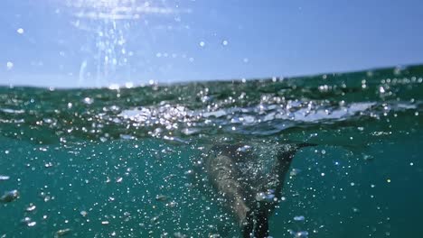 Unterwasser-Rückansicht-Des-Erwachsenen-Mannes,-Der-Mit-Taucherflossen-Schwimmt
