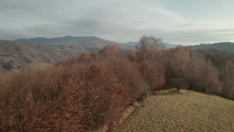 An-aerial-reveal-drone-footage-of-a-countryside-with-beautiful-mountains-in-the-background-in-late-autumn