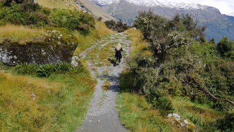 Blond-woman-with-hiking-poles-trekking-on-mountain-path-during-sunny-day---Rear-view---Rob-Roy-Glacier,-New-Zealand