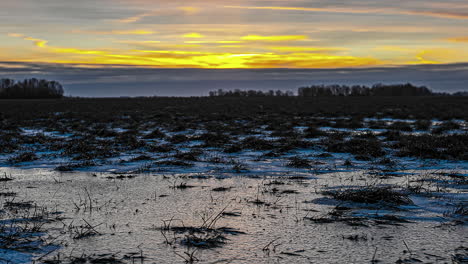 Time-lapse-of-a-golden-sunrise-in-the-distance-with-focus-on-the-snow-and-plants-in-the-foreground
