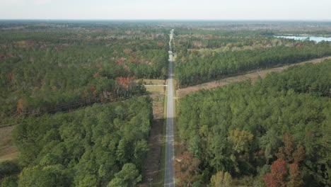 Road-cutting-through-dense-woodland-wilderness-descending-aerial-4K