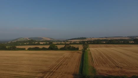 Vista-De-360-Grados-De-Tierras-De-Cultivo-Y-Bosques-En-El-área-De-Dorset,-Inglaterra