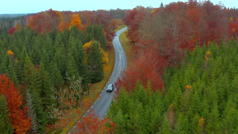 Drone-Car-Driving-Along-Countryside-Road-in-a-Dense-Pine-forest,-Sweden
