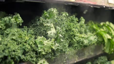 Kale-and-other-leafy-greens-at-the-grocery-store-under-cool-misting-vapor-to-keep-fresh