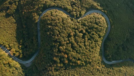 Luftaufnahme-Von-Oben-Nach-Unten-Drohnenaufnahmen-Von-Autos,-Die-Auf-Einer-Herzförmigen-Kurvenreichen-Straße-Mitten-In-Einem-Herbstfarbenen-Wald-Fahren