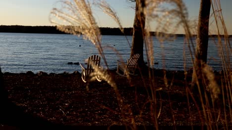 Rocking-chairs-on-shore-of-peaceful-lake-at-sunset-with-ducks-swimming-on-water