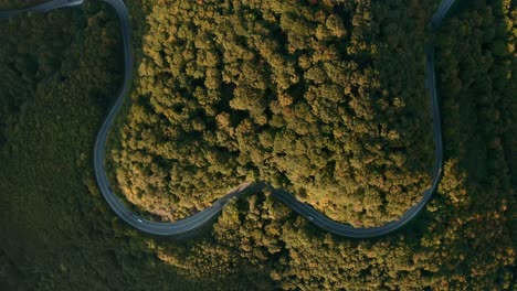 Aerial-zoom-in-view-drone-footage-of-cars-driving-on-a-heart-shaped-winding-road-in-the-middle-of-an-autumn-coloured-forest