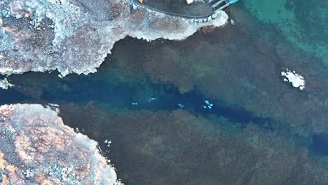 Blick-Von-Oben-Auf-Taucher-Auf-Dem-Kristallklaren-Wasser-Der-Silfra-Spalte-Im-Thingvellir-Nationalpark,-Südisland