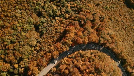 Aerial-drone-point-of-view-of-cars-driving-along-a-scenic-road-winding-through-autumn-coloured-forest-in-a-picturesque-Slovak-countryside