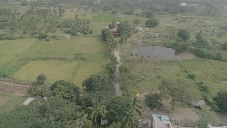 Reveal-Drone-Shot-of-a-Rural-Building-Surrounded-by-Trees-and-Agriculture-|-4K