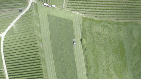Tractor-mowing-grass-on-meadow,-South-Tyrol-farmland-landscape,-aerial-view