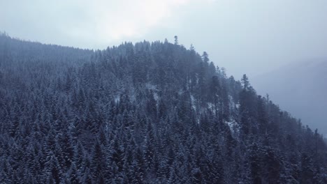 Winter-orbiting-aerial-of-mountain-with-dark-forest-snow-covered-in-Vosges-France-4K