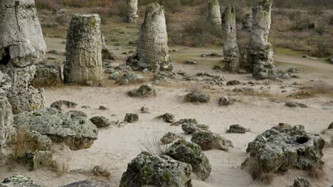 Magnificent-ancient-natural-stone-column-structures-of-deserted-pobiti-kamani