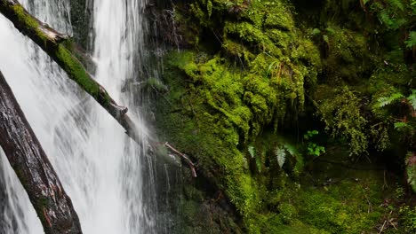 Mittlerer-Jib-Schuss-Eines-Moosbedeckten-Wasserfalls,-Der-Auf-Baumstämme-Fließt