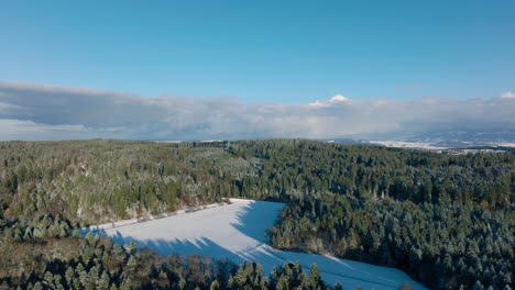 Bosque-De-Coníferas-Durante-El-Comienzo-Del-Invierno-En-Jorat,-Vaud-Suiza---Toma-Aérea-De-Drones