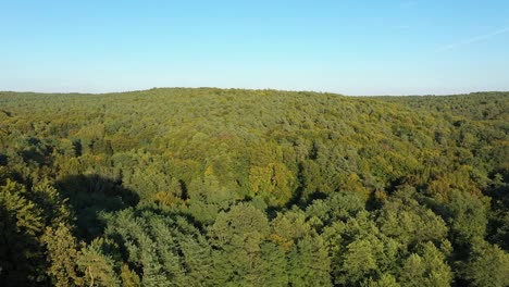 Green-Trees-In-The-Dense-Jungle-Forest-In-Croatia-Against-The-Clear-Blue-Sky---drone-shot