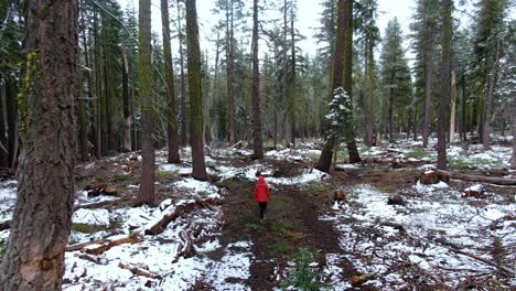 Traveler-woman-wearing-red-jacket,-walking-alone-through-woods-covered-in-snow-on-the-forest-path