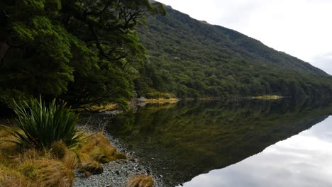 Tree-covered-hill-reflecting-in-lake