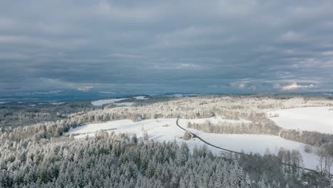Tala-De-Bosques-Nevados-En-Los-Bosques-De-Jorat-Cerca-De-Lausana,-Vaud,-Suiza-En-Un-Día-Soleado-De-Invierno