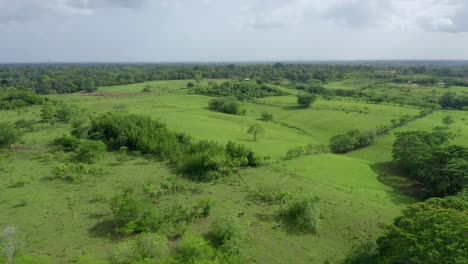 Beautiful-view-of-the-fields-in-the-Dominican-Republic,-on-a-clear-day,-shot-with-drone