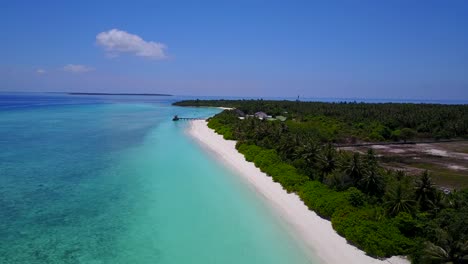 Palmen-Und-Weißer-Sandstrand-Der-Insel-Hanimaadhoo-Auf-Den-Malediven