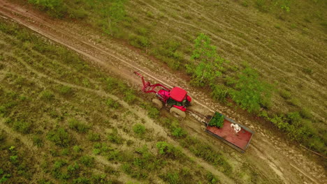 Orbital-aerial-shot-of-a-tractor-with-a-trailer-at-a-side-of-a-cultivated-land,-coyol-palm-plantation-in-Brazil