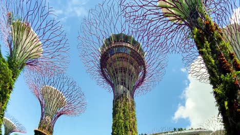 Towering-Artificial-Trees-With-Canopies-On-Supertree-Grove-At-Gardens-By-The-Bay-In-Singapore-At-Daytime