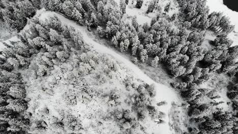 Luftaufnahme-Des-Oeschinensees-In-Kandersteg,-Schweiz,-Mit-Einer-Pfanne-Von-Schneebedeckten-Bäumen-Zu-Einer-Reflexion-Der-Berggipfel-An-Einem-Wintertag