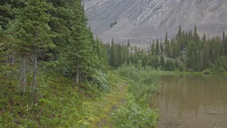 Trail-and-pond-in-mountain-forest-Rockies-Kananaskis-Alberta-Canada