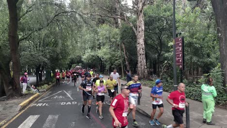 Foto-De-Un-Grupo-De-Corredores-Del-Maratón-De-La-Ciudad-De-México-2022-Dando-La-Vuelta-En-El-Bosque-De-Chapultepec